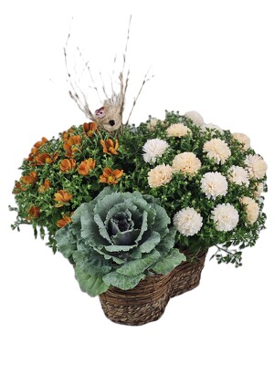 Fall Mum Trio Basket Fall Mum Trio Basket