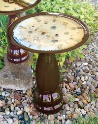 Artisimo Birdbath Brown from Flowers by Ray and Sharon in Muskegon, MI