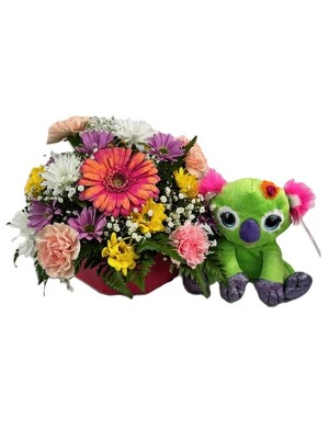 You're Very Special - Koala from Flowers by Ray and Sharon in Muskegon, MI