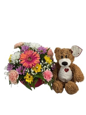 You're Beary Special -Brown Bear from Flowers by Ray and Sharon in Muskegon, MI