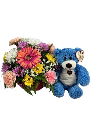 You're Beary Special - Blue Bear from Flowers by Ray and Sharon in Muskegon, MI