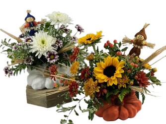 Pumpkin Patch Bouquet from Flowers by Ray and Sharon in Muskegon, MI