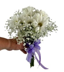 Daisy & Baby's Breath Hand-held Bouquet from Flowers by Ray and Sharon in Muskegon, MI