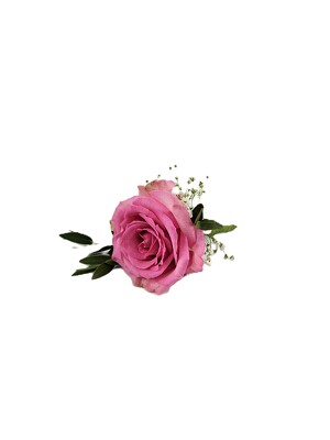 Pink Rose and Baby's Breath Boutonniere from Flowers by Ray and Sharon in Muskegon, MI