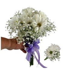 Daisy and Baby's Breath Hand-Held Bouquet Set from Flowers by Ray and Sharon in Muskegon, MI